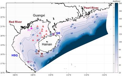 Spring circulation characteristics and formation mechanism in the Beibu Gulf
